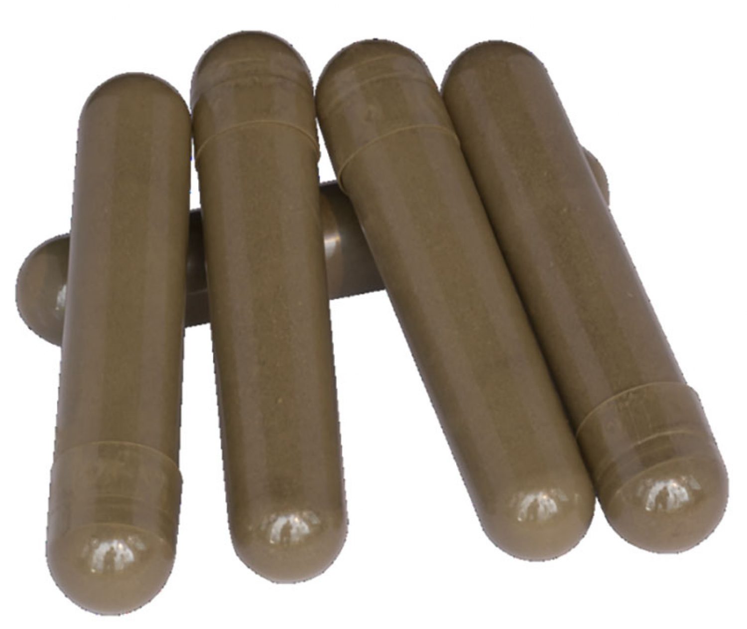 Boli ruminali Transition T4