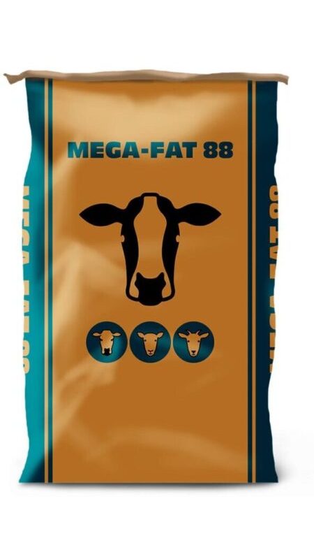 MEGA-FAT 88
